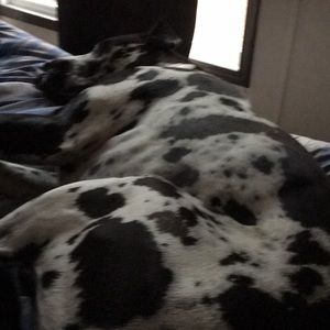 Meet your Posher, Mindy